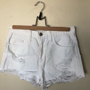 Hollister White Distressed Cut Off Shorts